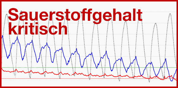 Sauerstoffgehalt der Elbe wieder kritisch