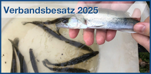 Verbandsbesatz 2025