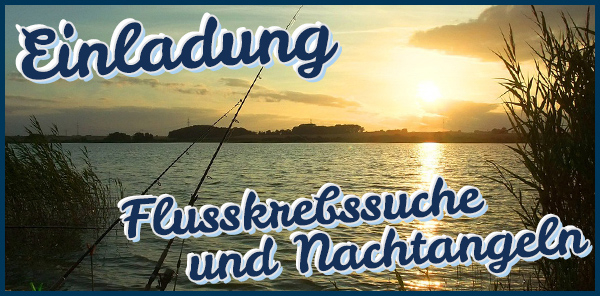 Foto: pixabay - Pipsimv / Daniel Steinke