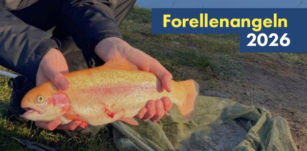 Forellenangeln 2026 – Sonne, Salmoniden, Spaß